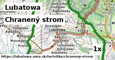 Chranený strom, Lubatowa