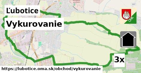 vykurovanie v Ľubotice