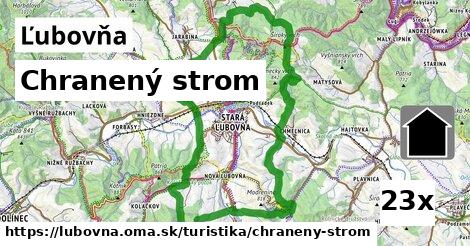 Chranený strom, Ľubovňa