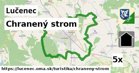 Chranený strom, Lučenec