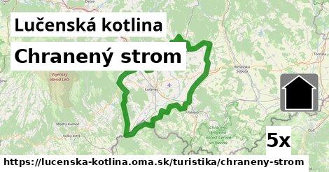 Chranený strom, Lučenská kotlina