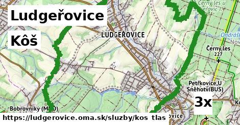 Kôš, Ludgeřovice