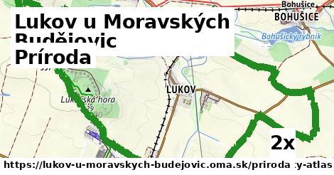 príroda v Lukov u Moravských Budějovic