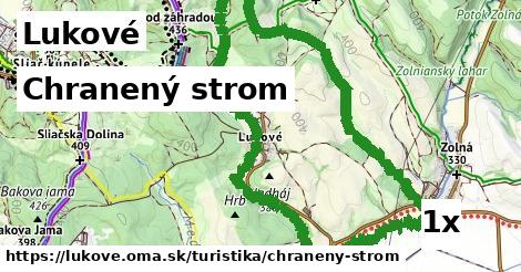 Chranený strom, Lukové