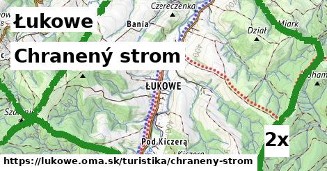 Chranený strom, Łukowe