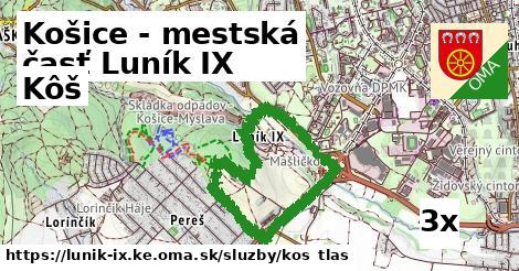 Kôš, Košice - mestská časť Luník IX