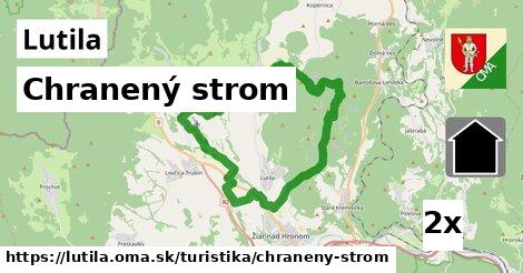 Chranený strom, Lutila