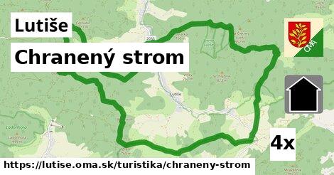 Chranený strom, Lutiše