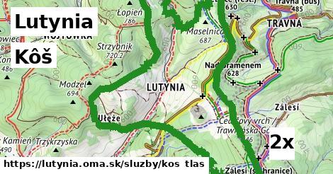 Kôš, Lutynia
