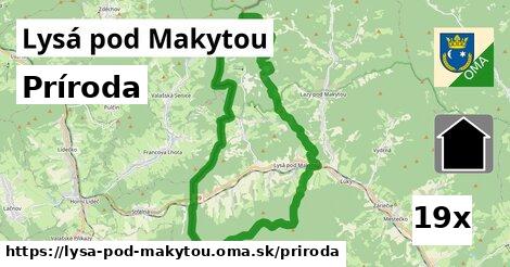 príroda v Lysá pod Makytou