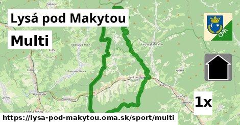 Multi, Lysá pod Makytou