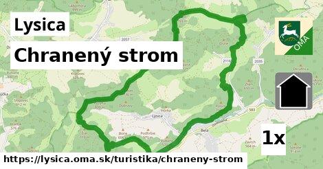 Chranený strom, Lysica