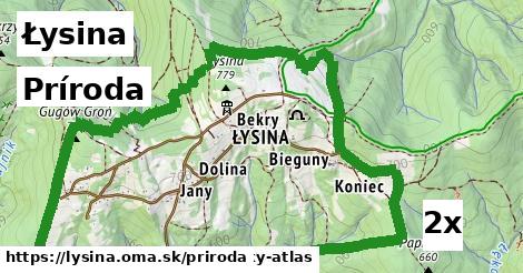 príroda v Łysina