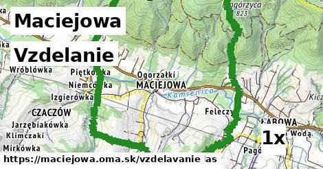 vzdelanie v Maciejowa