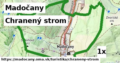 Chranený strom, Madočany