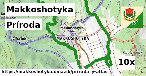 príroda v Makkoshotyka