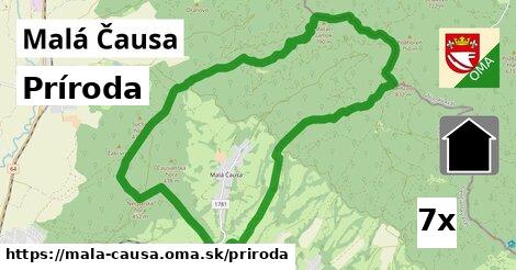 príroda v Malá Čausa