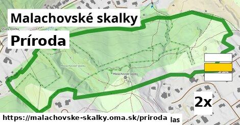 príroda v Malachovské skalky