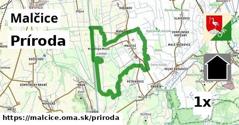 príroda v Malčice