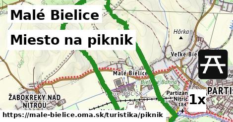 miesto na piknik v Malé Bielice