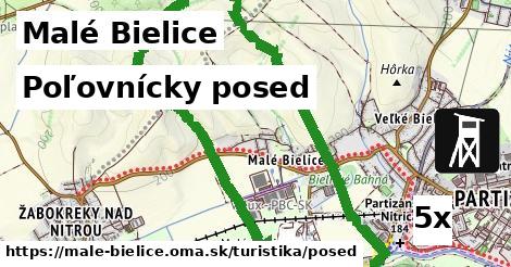 Poľovnícky posed, Malé Bielice