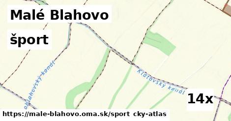 šport v Malé Blahovo