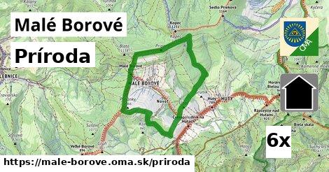 príroda v Malé Borové