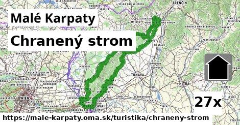 Chranený strom, Malé Karpaty