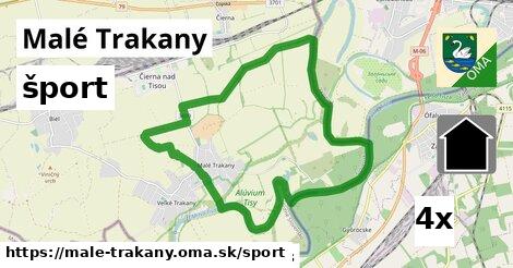 šport v Malé Trakany