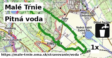 Pitná voda, Malé Tŕnie