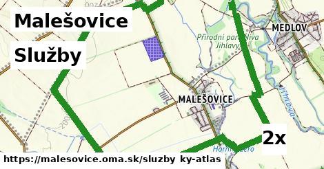 služby v Malešovice