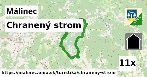 Chranený strom, Málinec