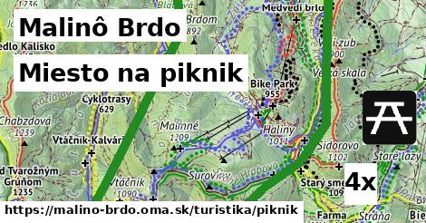 Miesto na piknik, Malinô Brdo