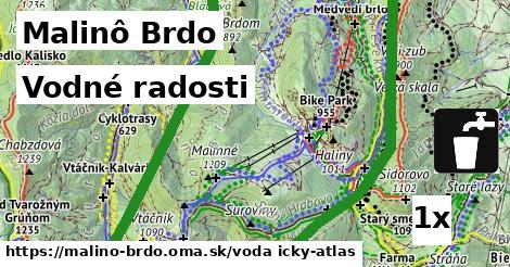 vodné radosti v Malinô Brdo