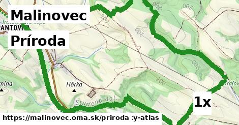 príroda v Malinovec