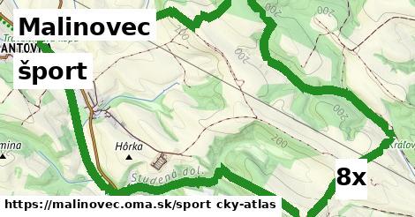 šport v Malinovec