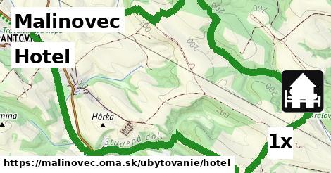 Hotel, Malinovec