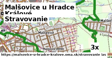 stravovanie v Malšovice u Hradce Králové