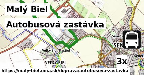 Autobusová zastávka, Malý Biel