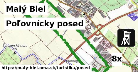 Poľovnícky posed, Malý Biel