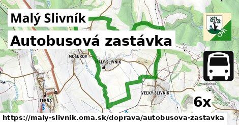 Autobusová zastávka, Malý Slivník