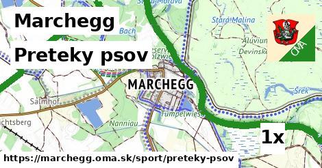 Preteky psov, Marchegg