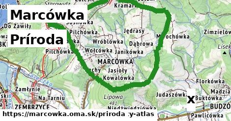 príroda v Marcówka