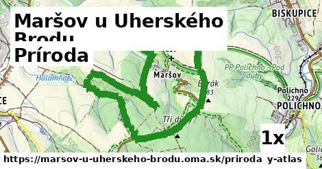 príroda v Maršov u Uherského Brodu