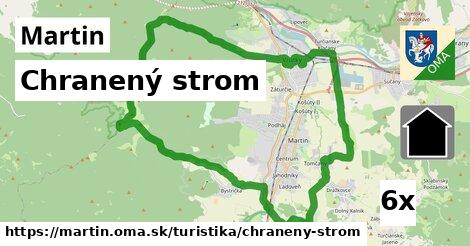 chranený strom v Martin