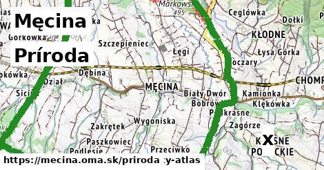 príroda v Męcina