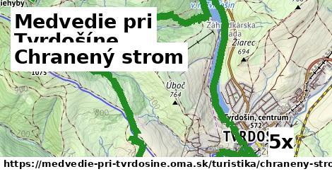 Chranený strom, Medvedie pri Tvrdošíne