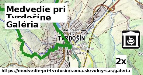 Galéria, Medvedie pri Tvrdošíne