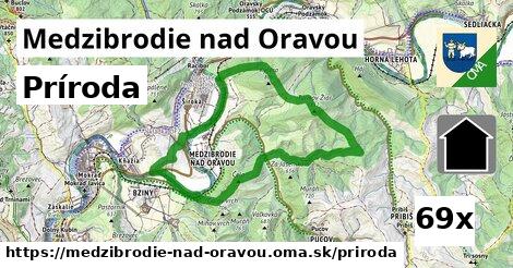 príroda v Medzibrodie nad Oravou