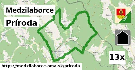 príroda v Medzilaborce